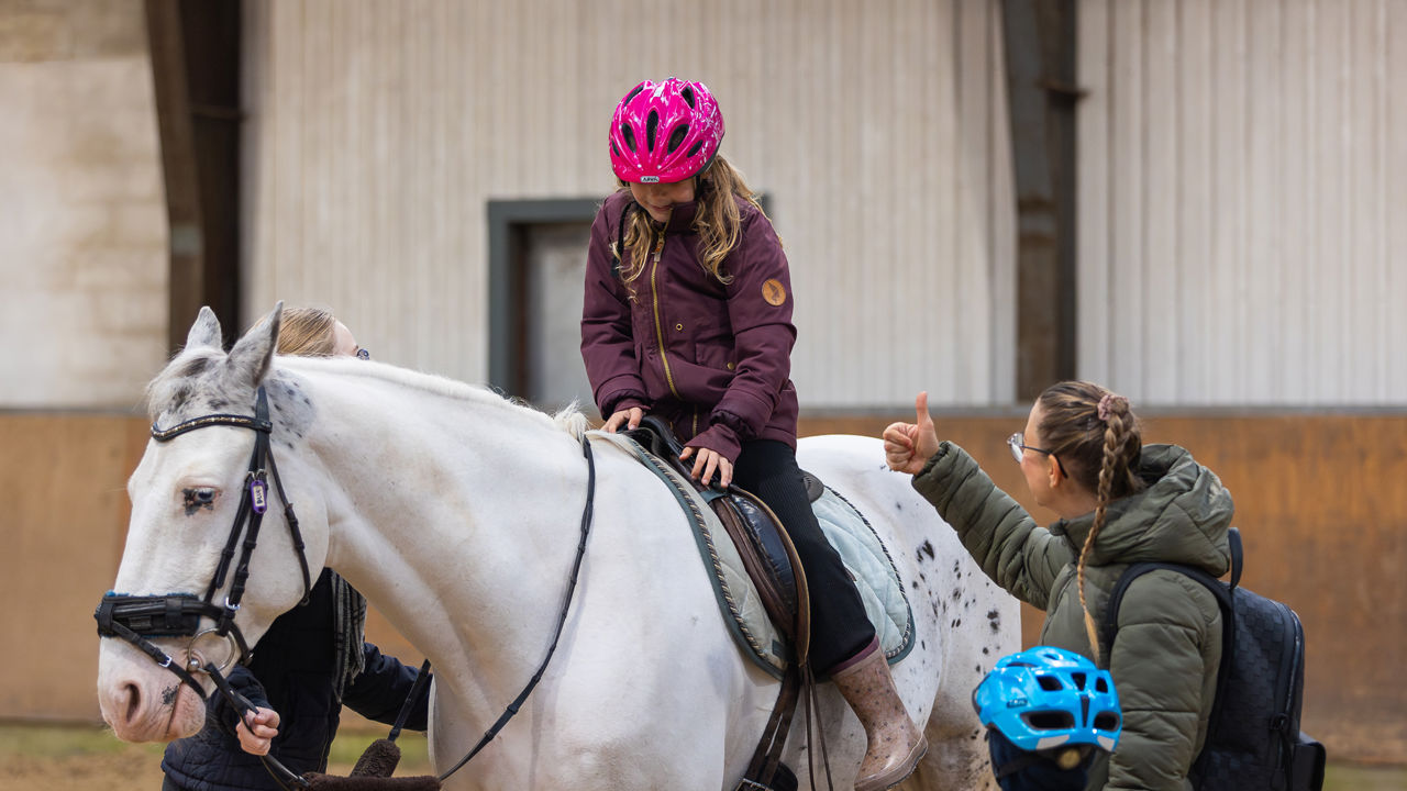 Viborg Rideklub - Kom og få en ridetur