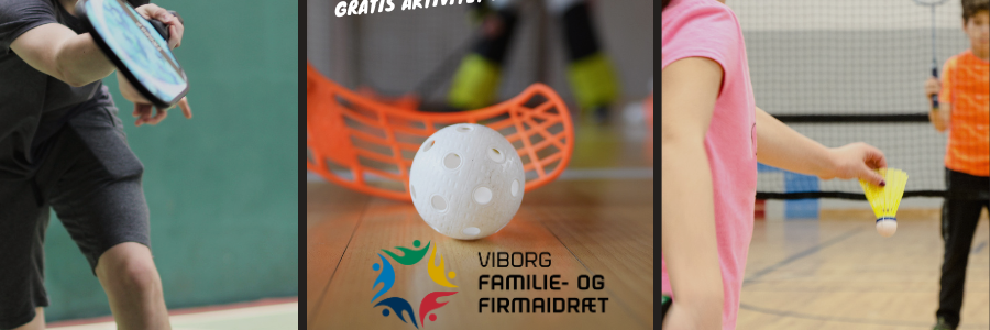 Viborg Famiie Og Firmaidræt Actionfyldt Bold Og Ketsjerspil
